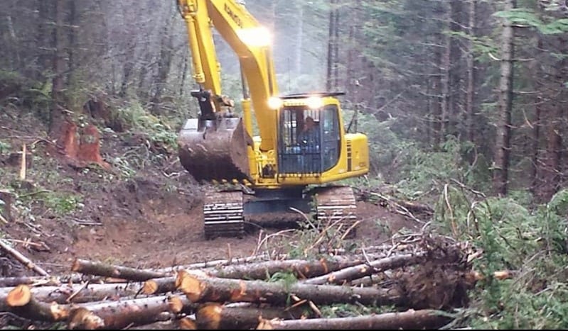 Logging Road Clearing