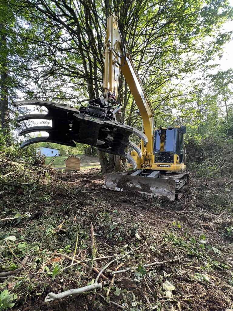 Demolition And Waste Removal Snohomish County