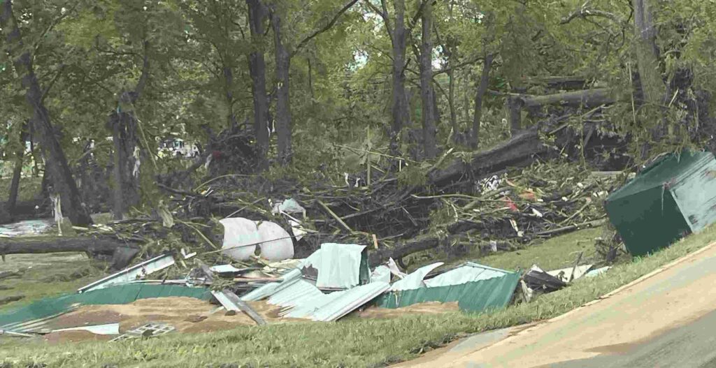 Devastated woodland with scattered storm debris