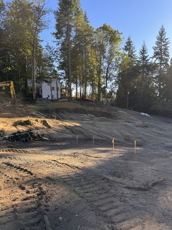 Construction site with machinery near forest at sunset