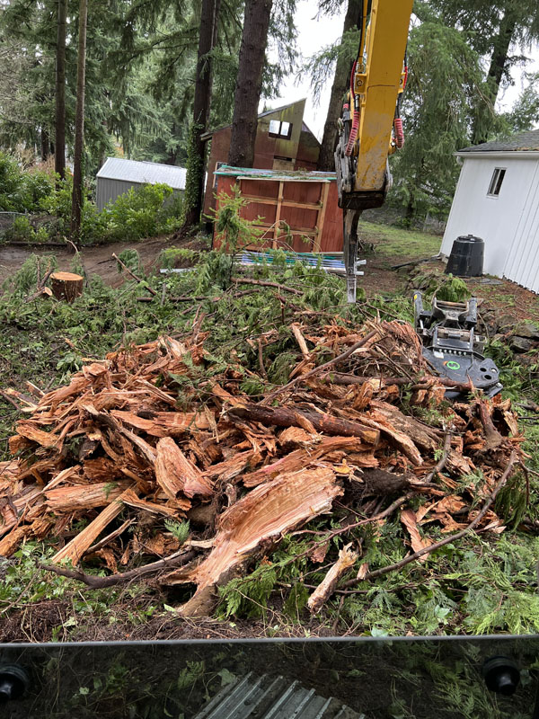 Excavator clearing tree debris in forested yard