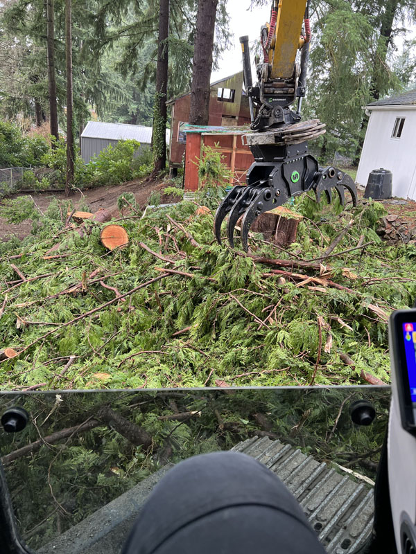 Forestry machinery clearing fallen trees in wooded area