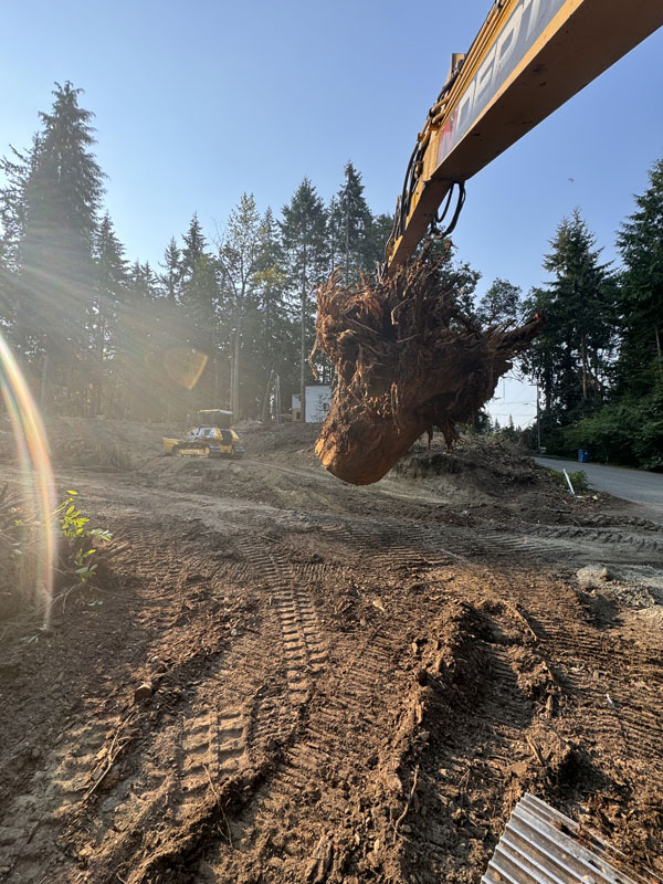 Excavator lifting large root cluster at construction site