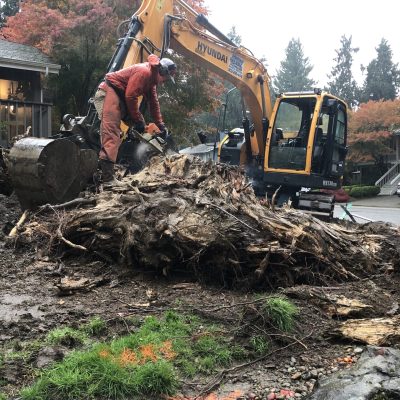 everett excavation services