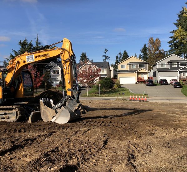 everett land clearing